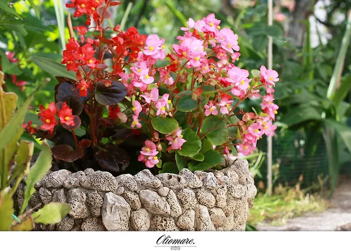 Oliomare Appartement